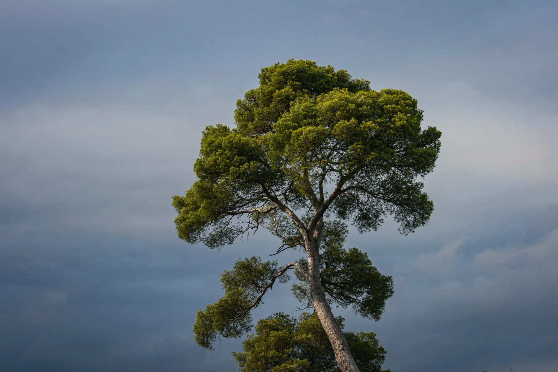 Landscape - NATURE_13