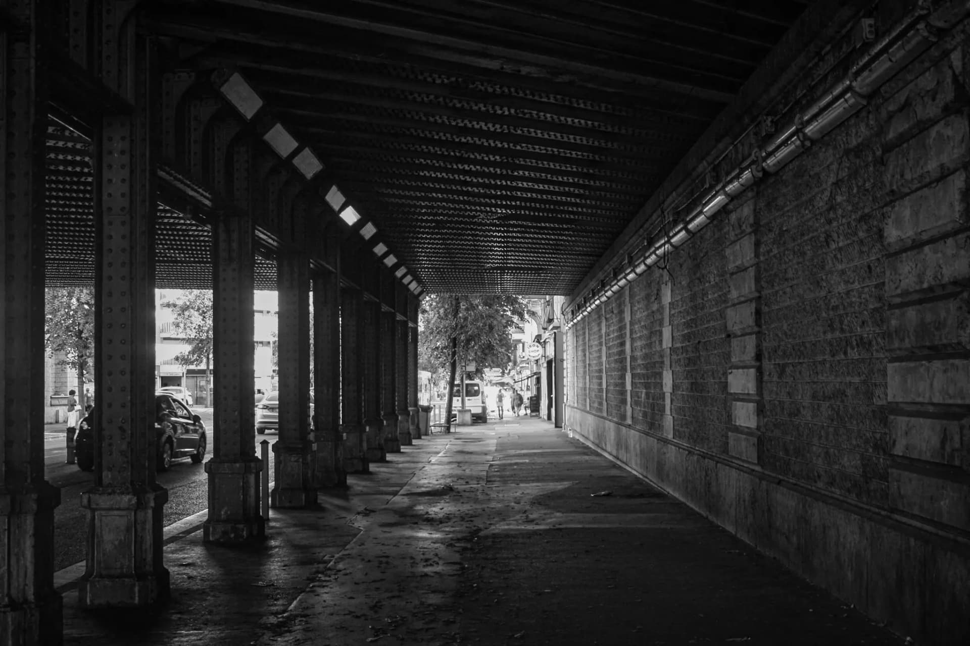 Landscape - NATURE_14