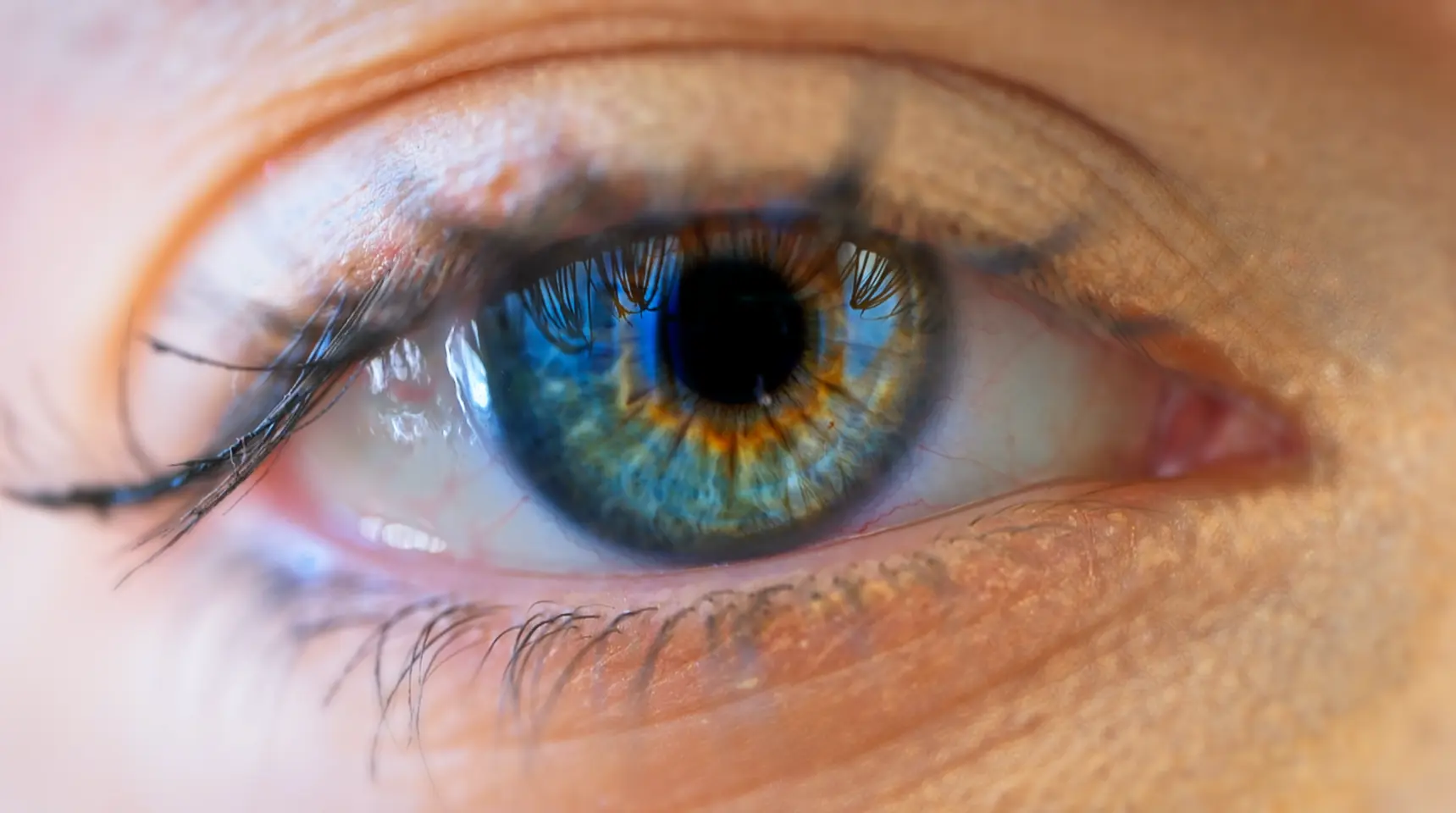 Le sommeil n'est pas un lieu sûr - Moodboard 1